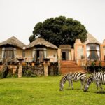 Hotels in Tanzania