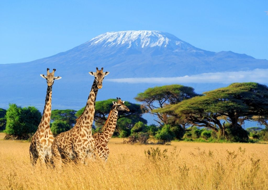 6 Days Climbing Kilimanjaro Marangu Route