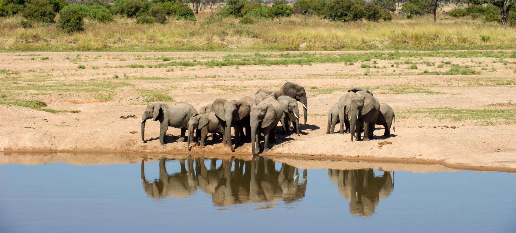 Udzungwa- Ruaha