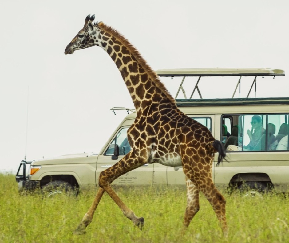 7 Days Tanzania & Kenya Luxury Safari