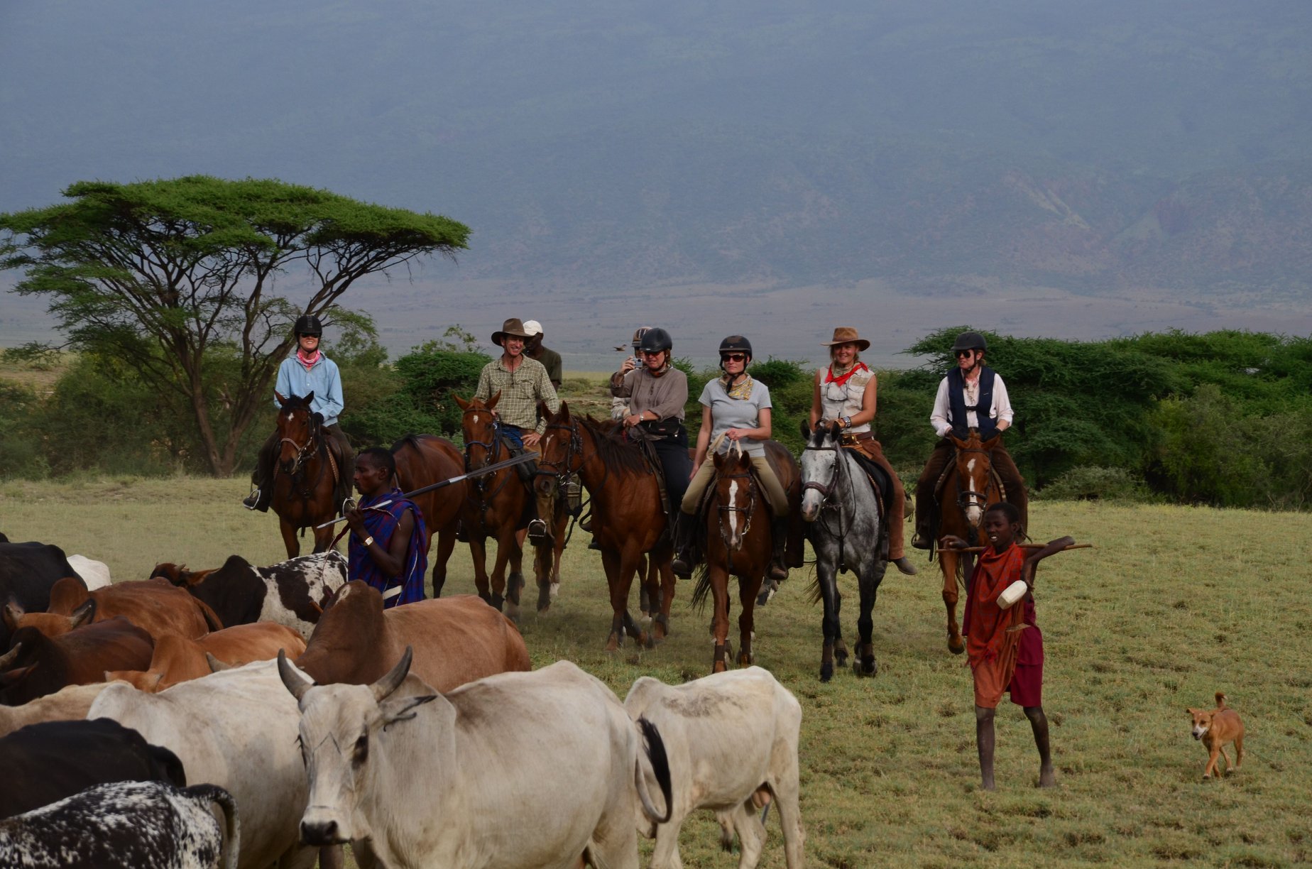 Kaskazi Horse Safari - Tanzania Horse