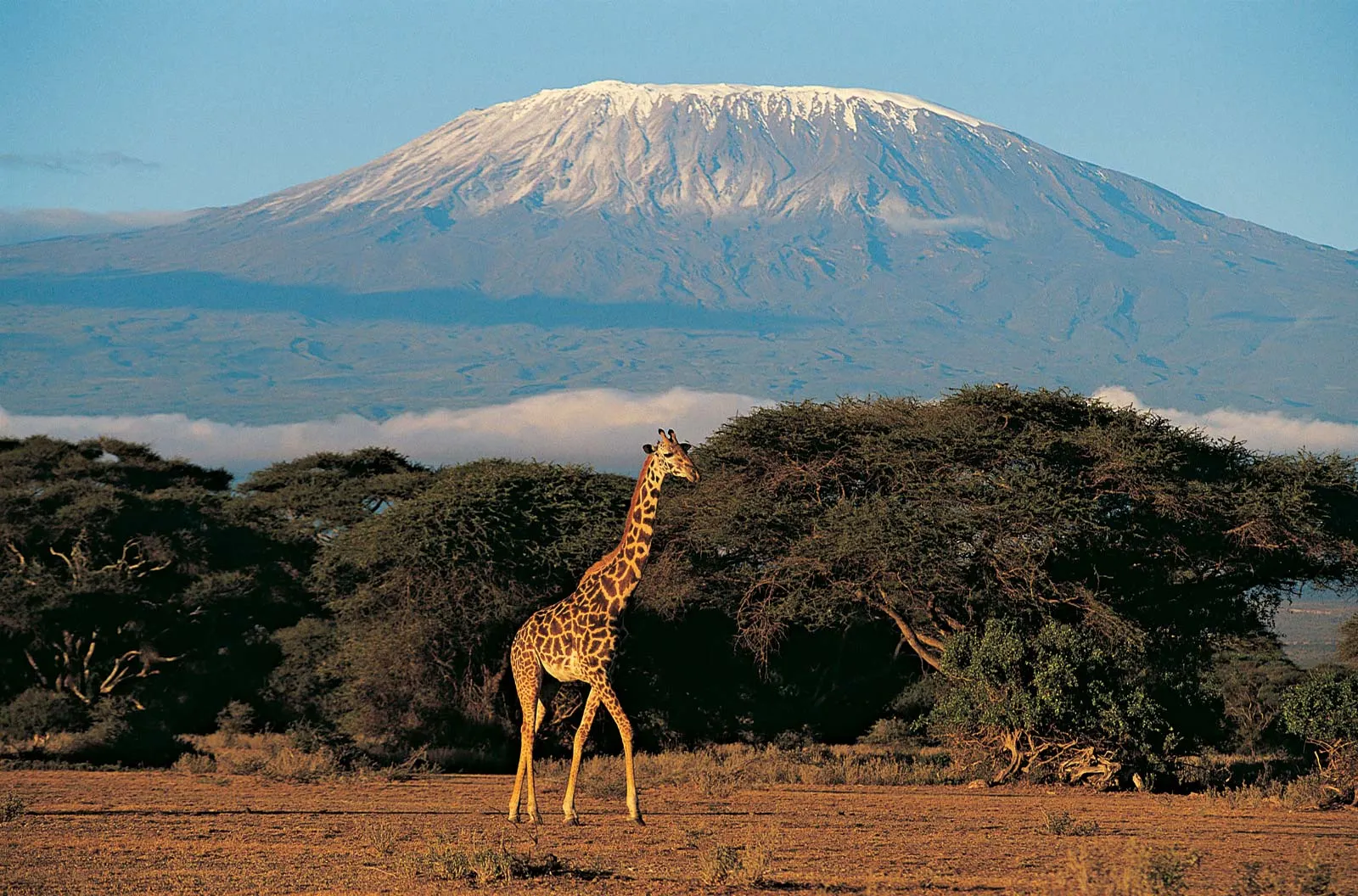 6 Days Tanzania Kilimanjaro Trek Marangu Route