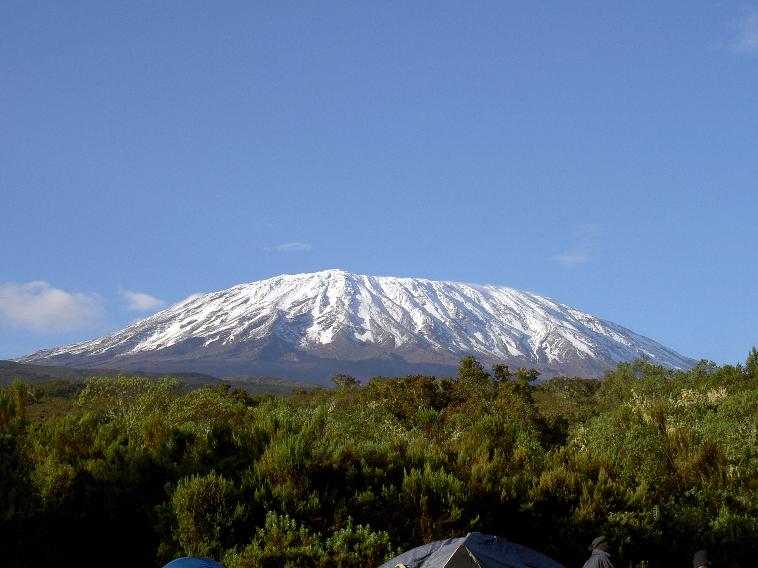 8 Days Kilimanjaro Treck Lemosho Route