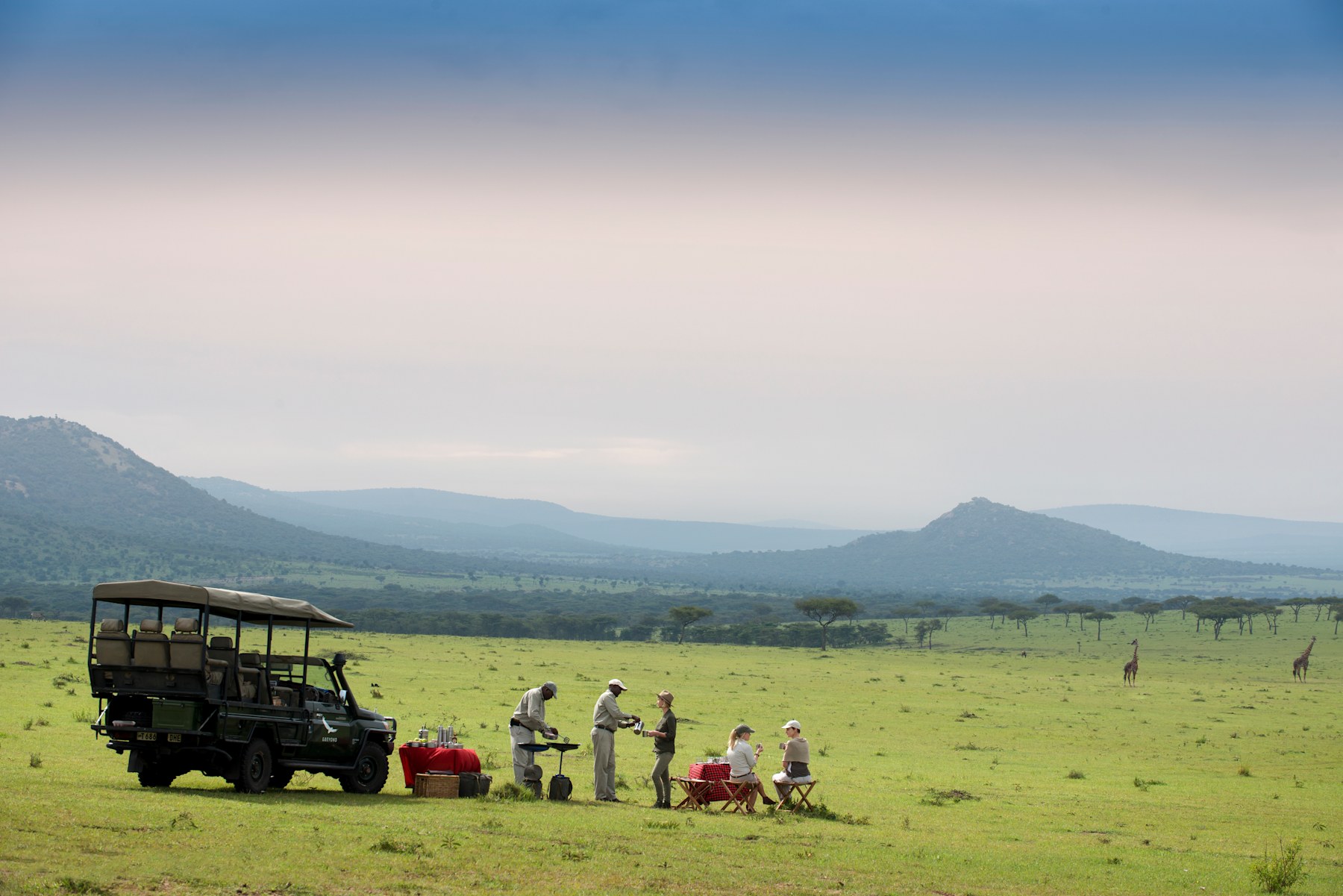 africa wildlife tour packages