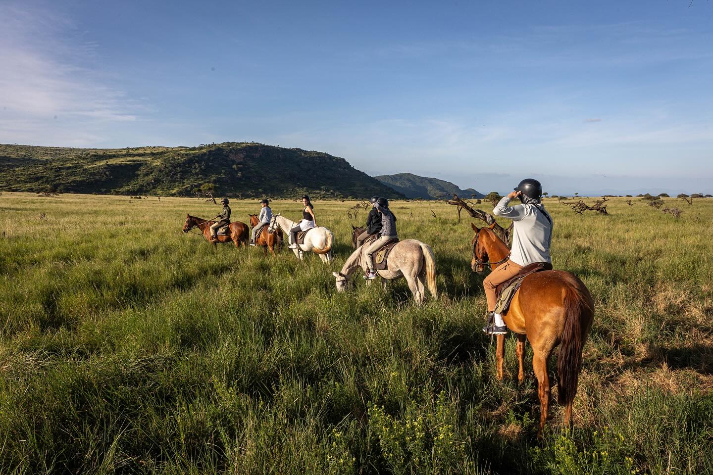 tanzania safari tours paultoursafari