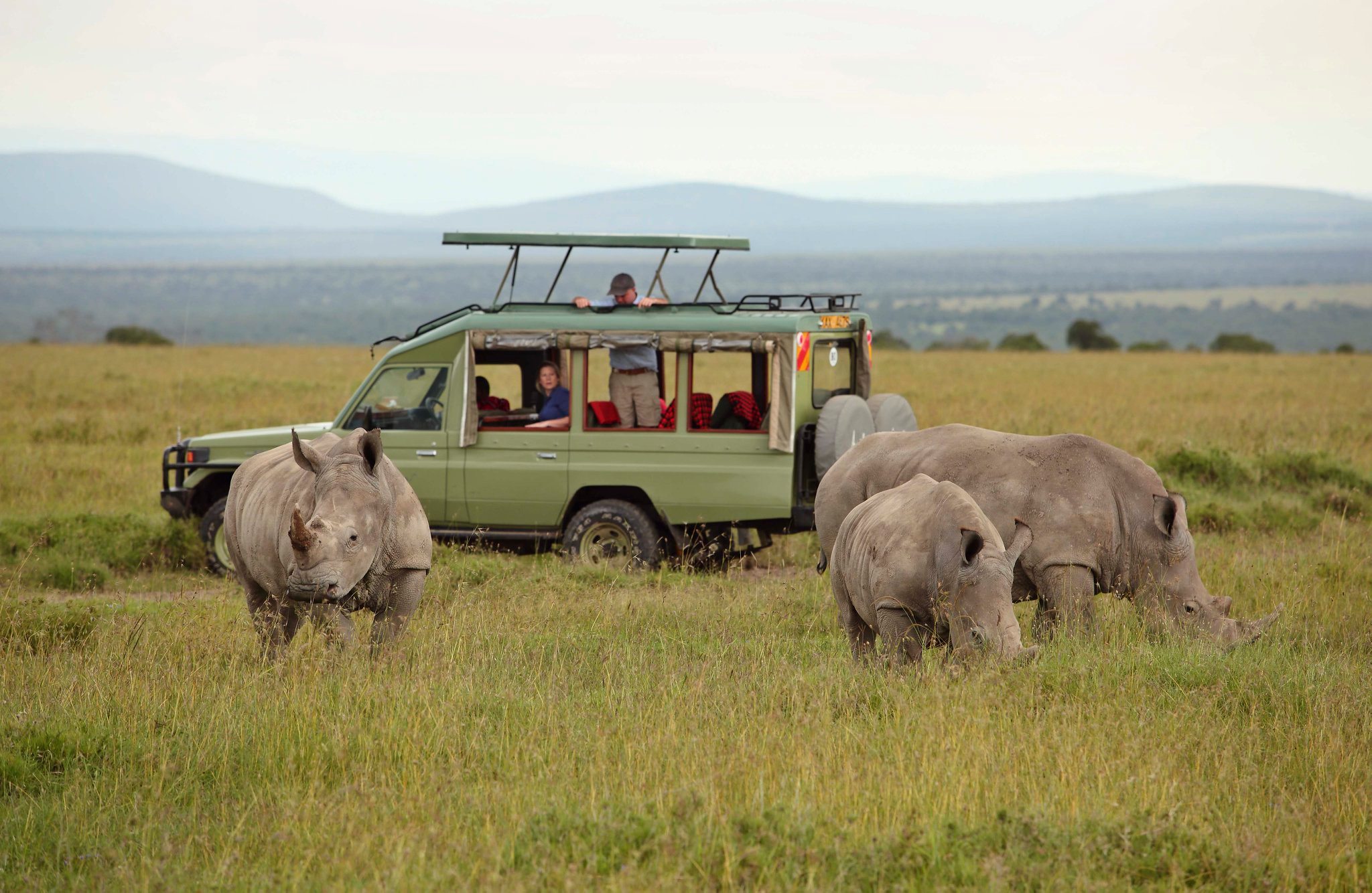 Asilia Ol Pejeta Bush Camp