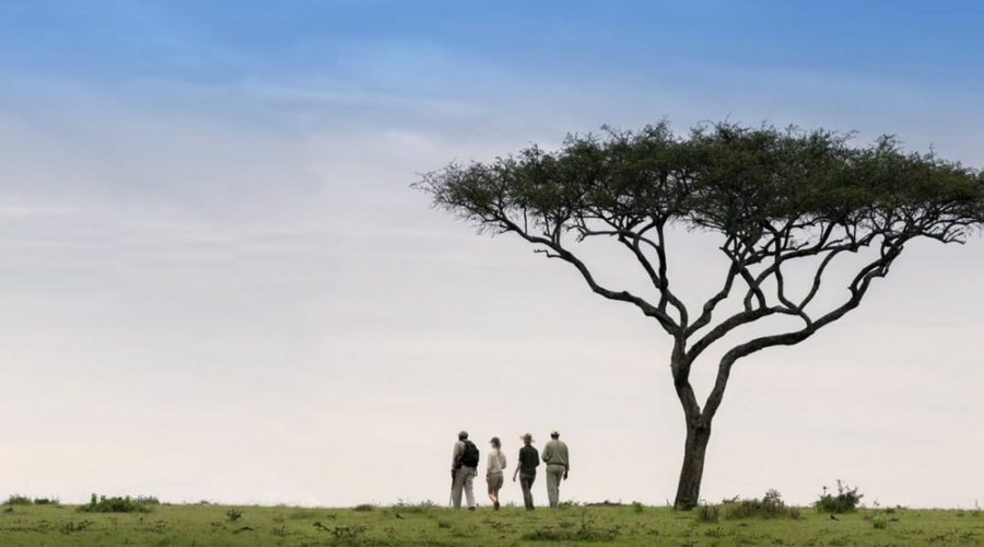 tanzania safari packages