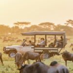 Kilimanjaro and Serengeti Adventure