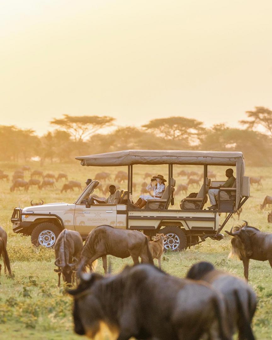 Kilimanjaro and Serengeti Adventure