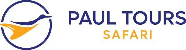 Instant form site logo