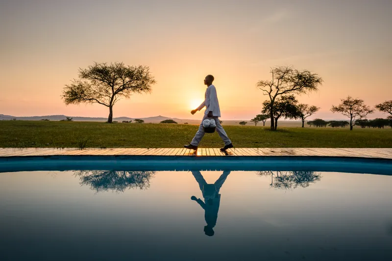 Introducing the VIP Safari Program by Paul Tours Safari: Where Luxury Meets Adventure