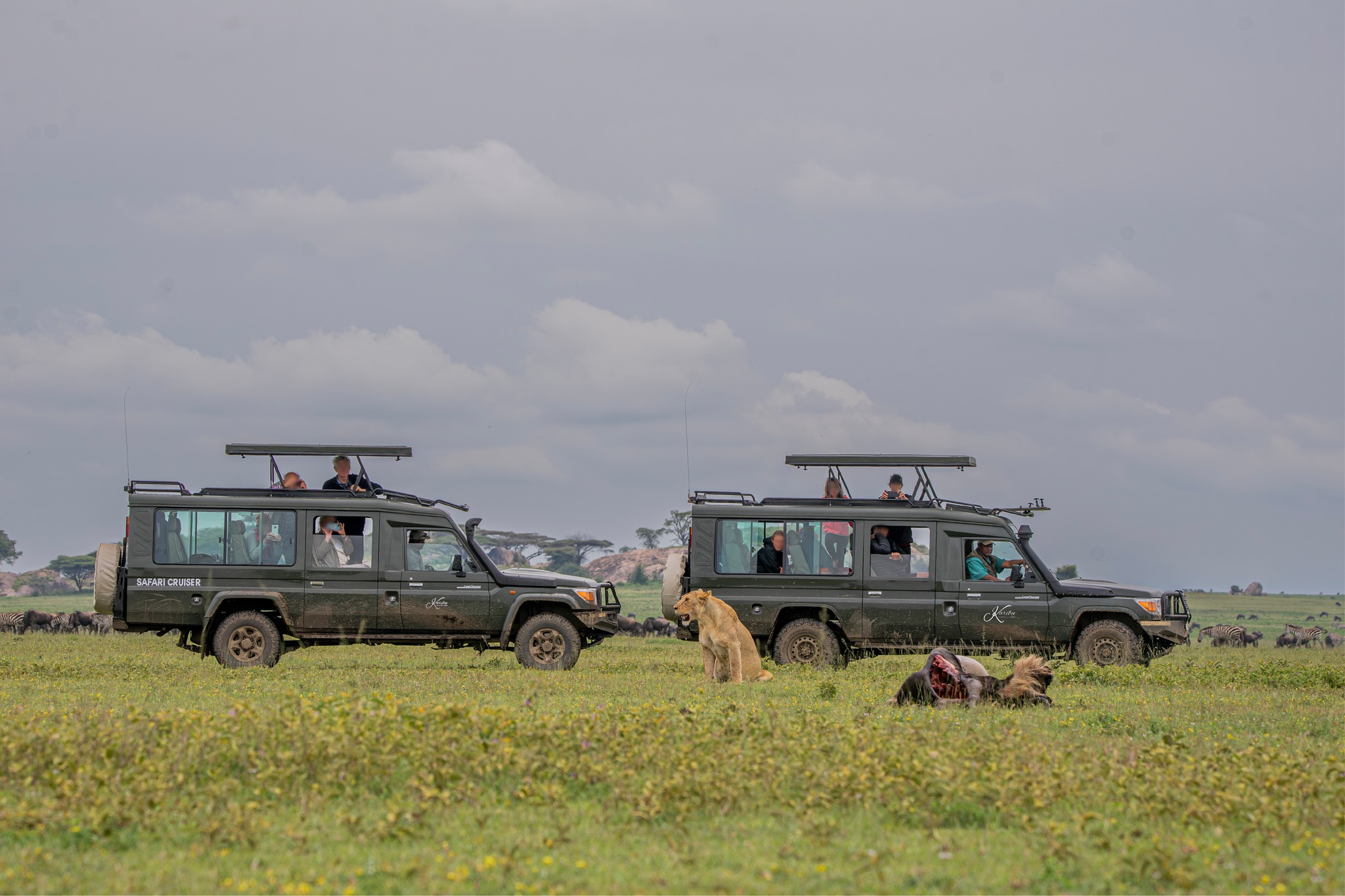 ngorongoro crater tanzania