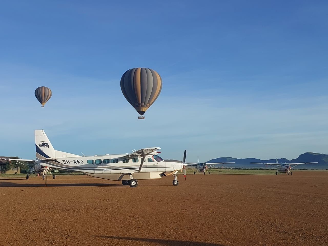 auric air tanzania in serengeti