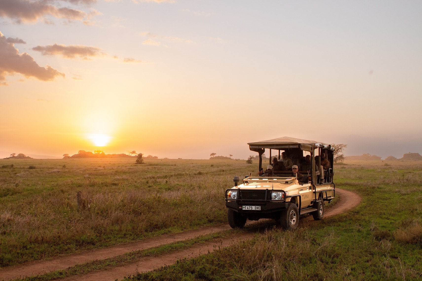 serengeti safari